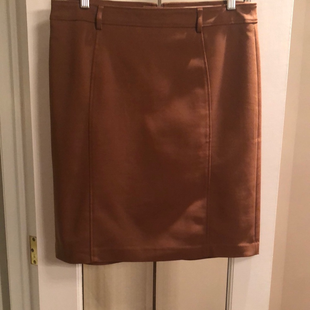 Classic Brown Pencil Skirt